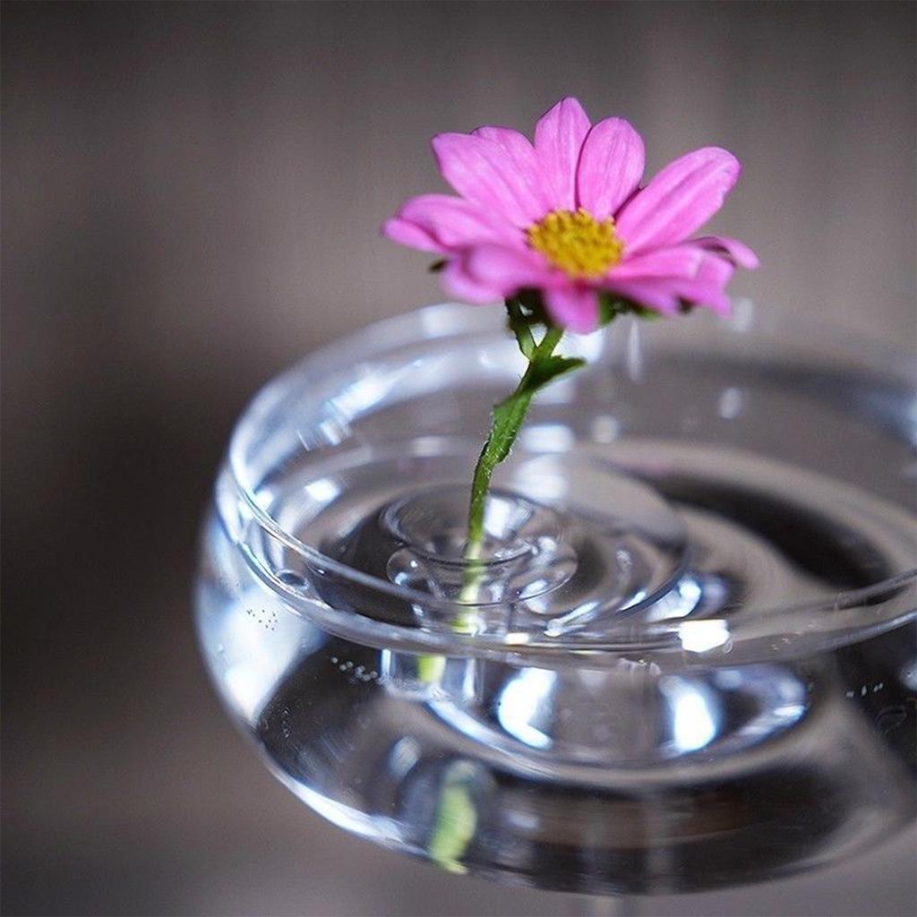 Vază de flori plutitoare Vas hidroponic pentru flori proaspete Aranjament floral Vază artistică Suport pentru flori Afișaj pentru plante Decor pentru casă