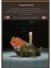 Brass Dragon's Nine Sons Ornament: Handcrafted Living Room and Office Decor, Perfect Housewarming Gift for Attracting Wealth
