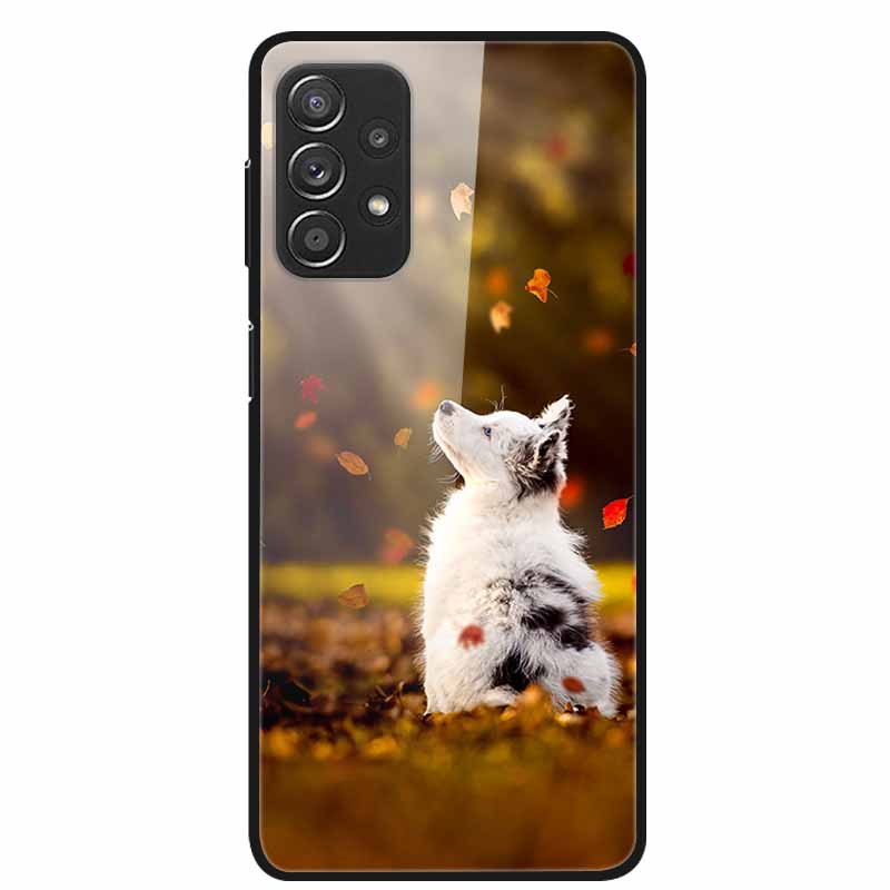For Samsung A52 5G 4G Cases A52s 5G Tempered Glass Hard Back Cases For Samsung Galaxy A52 5G Phone Covers Funda A 52s 2022 A528B