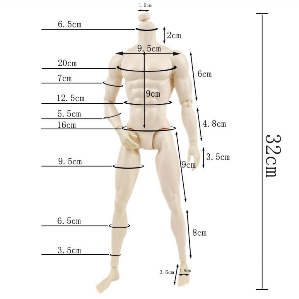 32cm Male Doll Muscle Body Without LOGO Little Defectives Latino White Tan Skin Tone Replacement Body For FR 1/6 Male Heads