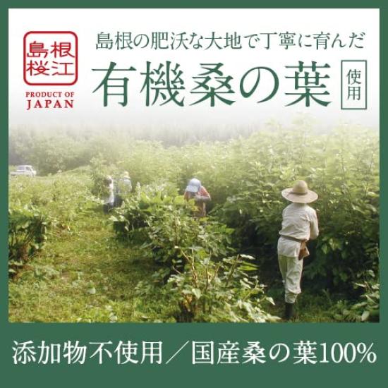 Organic Mulberry Matcha Powder 100g Made with 100% Japanese Mulberry Leaves