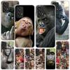 Monkey Memes Phone Case For Samsung Galaxy A52 A32 A22 A12 A51 A31 A50S A30S A20S A10S Note 20 Ultra 10 Plus S10 A72 A71 Galaxy
