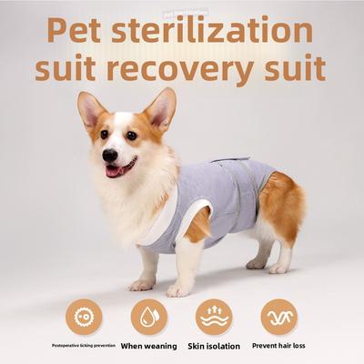 Indumenti per sterilizzazione per cani, Indumenti anti-leccamento per cani di piccola e media taglia dopo l'intervento chirurgico, Pantaloni fisiologici per animali domestici, Indumenti per lo svezzamento