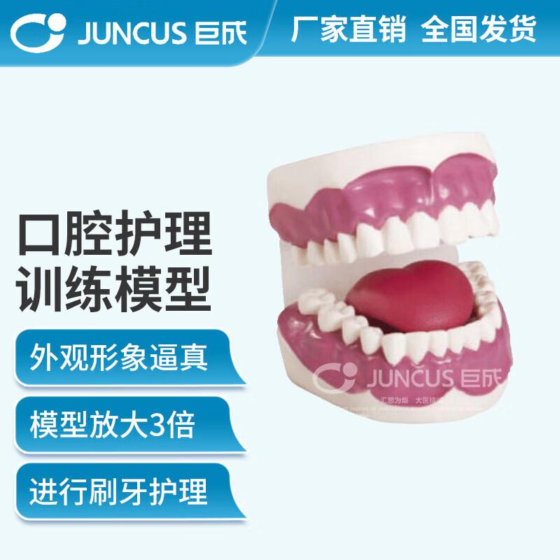 Chengzhi Oral Care Training Model for Field Hospital Simulation