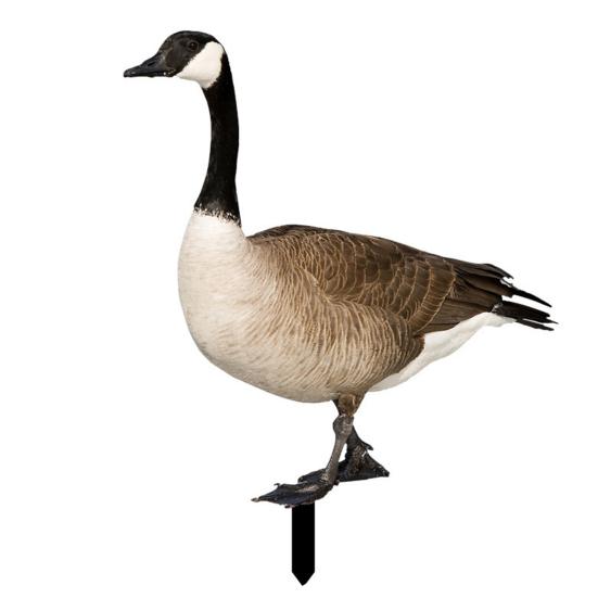 Dekoracja Kaczka Realistyczna Żywa Ozdobna Dwustronny Nadruk Rustykalna Akrylowa Statua Ogrodowa Drobiu na Podwórko