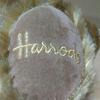 [USED] Used Harrods Teddy Bear Plush Toy