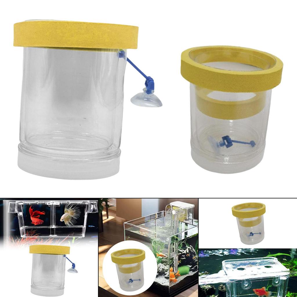 Fish Isolation Container for Hatching with Lid Guppy