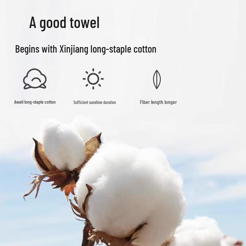 Safeguard Healthy Purifying Mint Shower Gel with Towel