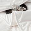 Tangna Home Textiles Wool Quilt