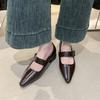 French Style Thick Heel Shallow Mouth Single Shoe for Women, Spring  New Style Pointed Fashion Mary Jane Small Leather Shoes