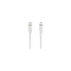 BELKIN - cable - PVC C-LTG 1M, WHT - PVC C-LTG 1M,