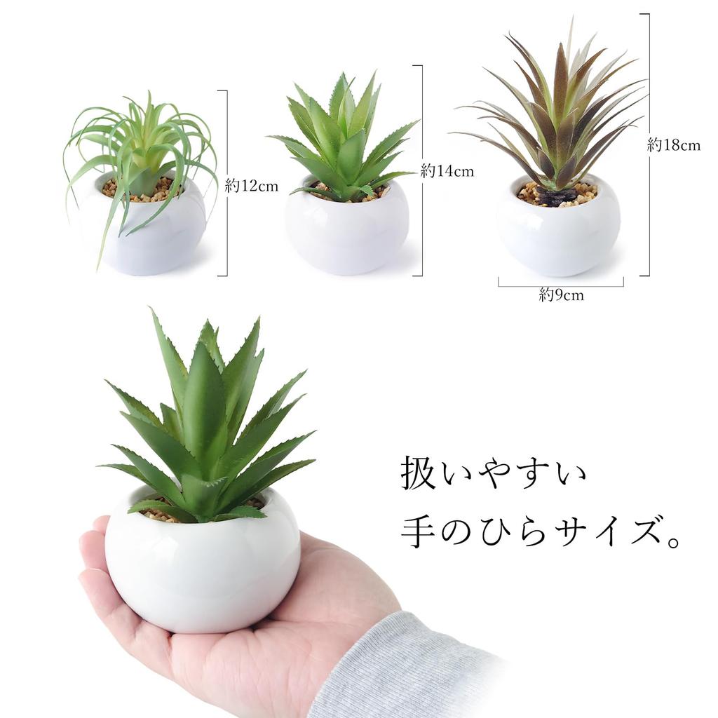 Faux Greenery Mini Potted Air Plant Set and Perfect for Home Perfect for Tabletop Perfect as a (3 Pieces) - Bromeliad, Agave, More. Stylish, Decor.