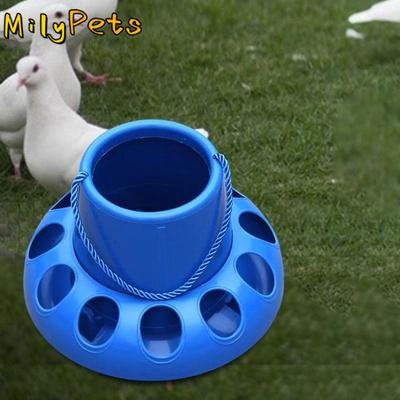Pájaros – Alimentación y suministros de riego