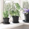 Plant Pots 6 Pcs Black Ø 15 X 12 Cm Plastic