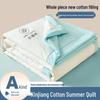 Xinjiang Cotton Summer Quilt: Lightweight, Machine-Washable, Thin Comforter for Dorms and Double Beds