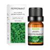 Lavender Water-Soluble Essential Oil, 10ml - Available in 29 Scents