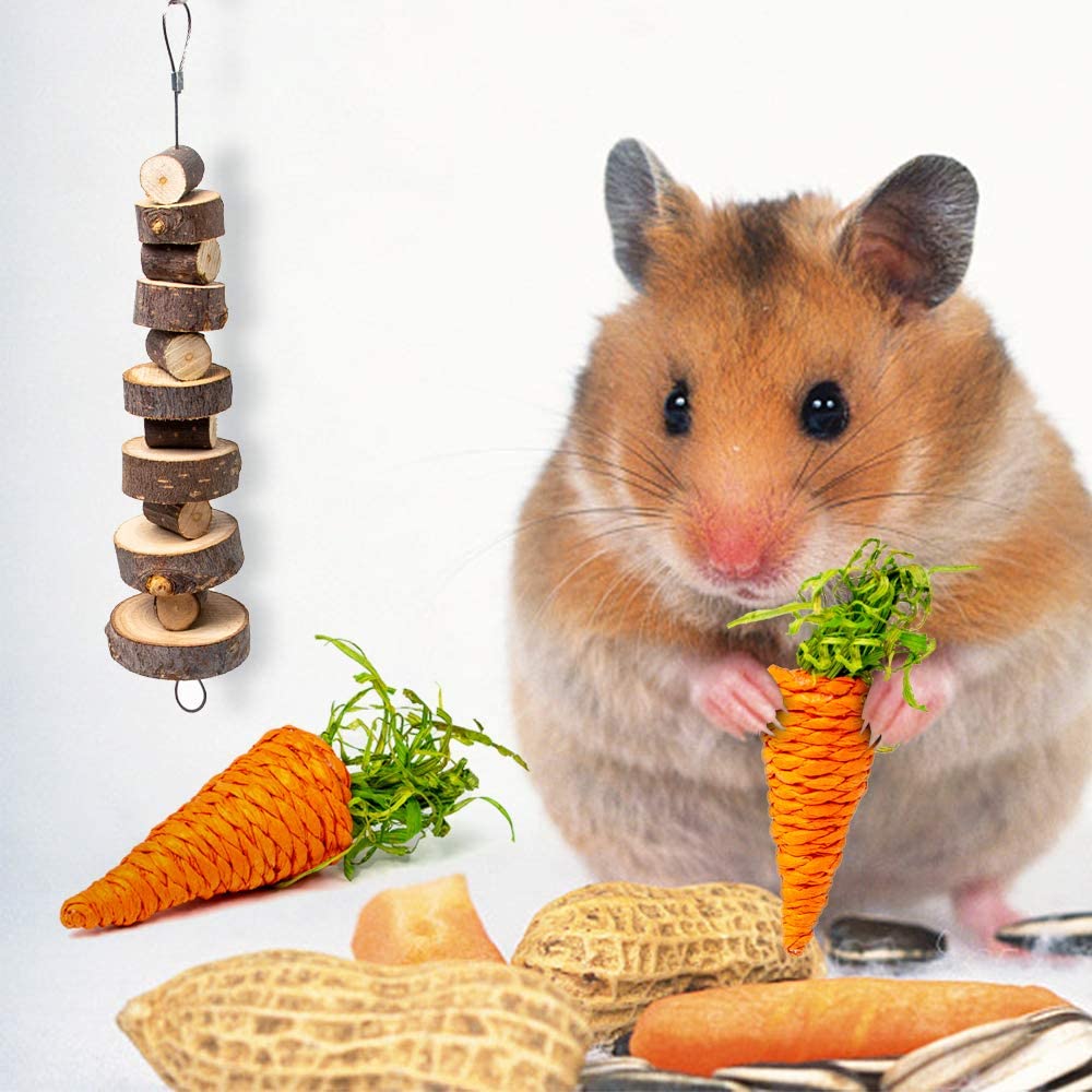 Hamster Chew Toys Set Natural Wooden Hamster Toys and Accessories for Cage Hamster Hideout Apple Wood Sticks Guinea Pig Chew Toys for Teeth Syrian