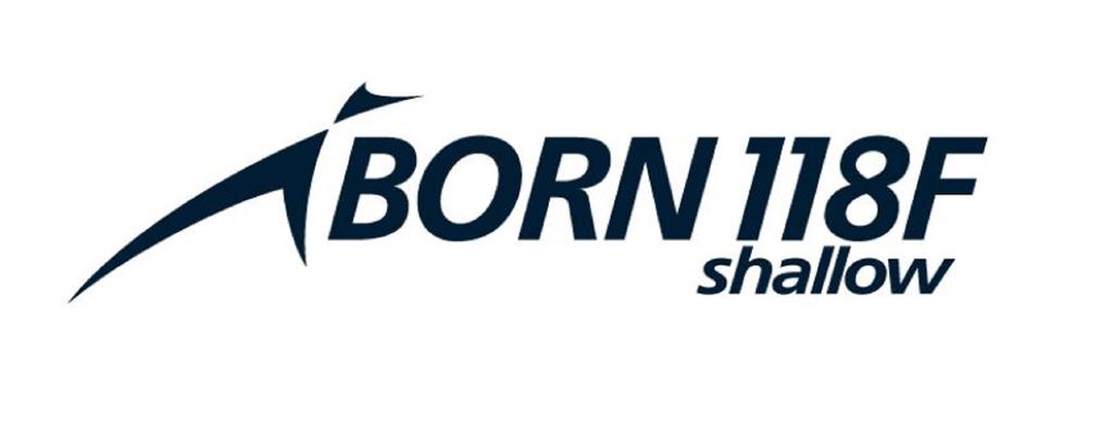 Ima Iborn 118F Shallow Floating Lure 006 (5339)