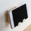 Remote Control and Phone Holder with Earphone Storage Box and Hook