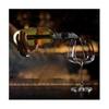 2PCS Stainless Steel Wine Chiller Stick, Rapid Wine Cooler & Aerator, Portable Wine Bottle Chiller for Red & White Wine