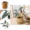 Style Artificial Alocasia Odora Leaf Plant With Handcrafted Basket For Home Decor