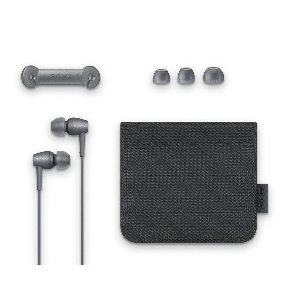 Sony earphones in 2 High resolution compatible type with remote control and microphone 2017 model grayish black B h.ear IER-H500A in-ear IER-H500A