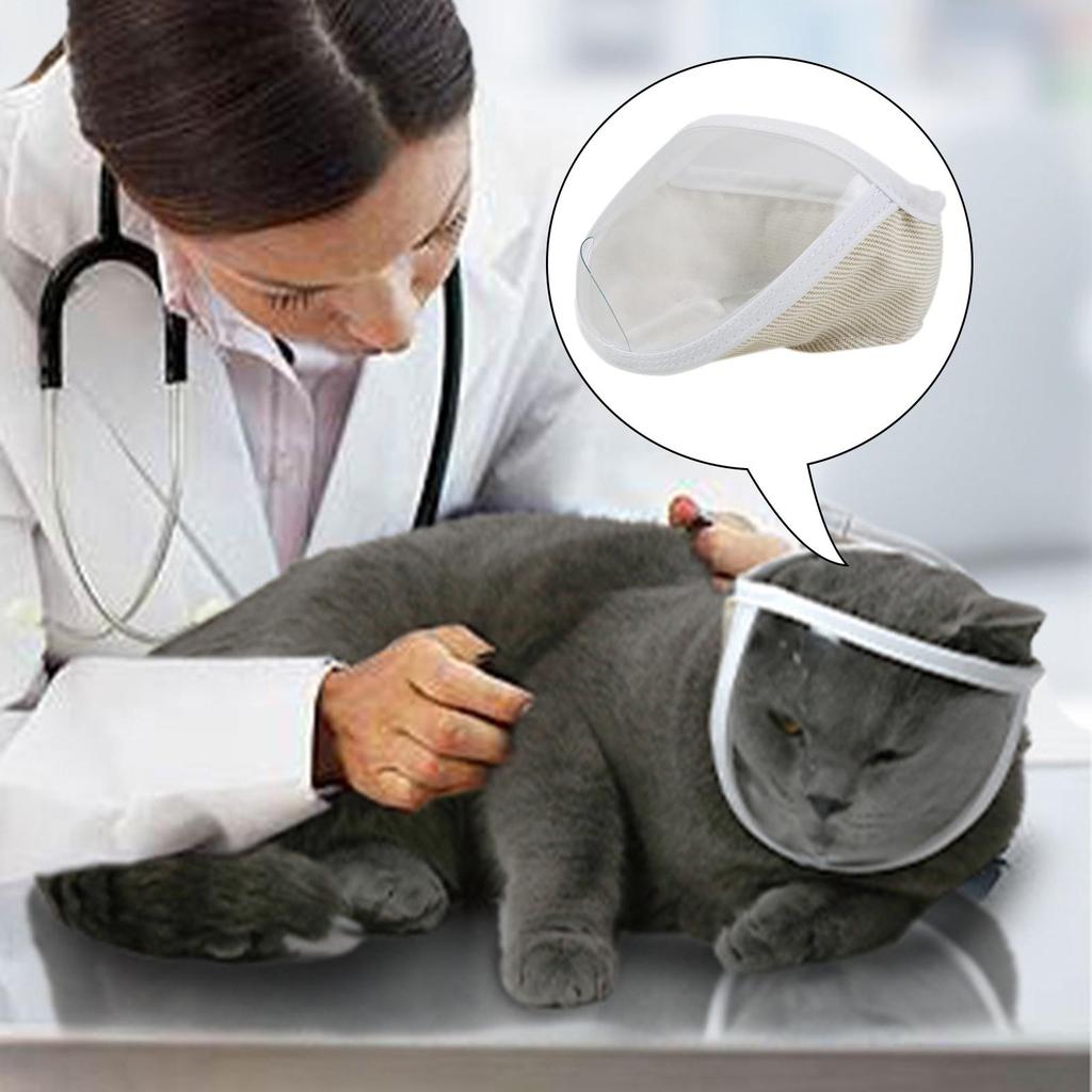 Transparent Cat Muzzle Anti Bite , Prevent from Cats Biting and Chewing for Aggressive Cat Professional Keep YOU Safe Breathable