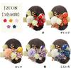 Hair Hair Popular Japanese Hair Graduation Entrance Wedding Recital [JZOON Ornament] Shichi-Go-San Ornament, Clothes, Accessory, Hairpin, Kimono,