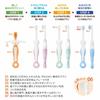 Combi Teteo teteo First time tooth brushing Baby toothbrush STEP4 When the molars come in Sora color (Blue)
