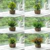 Creative Wooden Basin with Artificial Green Plant Bonsai Ornament for Display and Decoration.