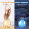 LED Sunrise Alarm Clock with FM Radio & Seven-Color Night Light