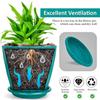6.3 Inch Flower Pots for Home Decoration, Indoor Plant Pots, Gardening Pots for Plants, Plastic Flower Pots for Garden Plants (5 Colors)