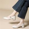 French Thick Heel Single Shoes Fashion Light Luxury Spring New Mary Jane Small Leather Shoes with Skirt Commuter High Heels Women's Shoes
