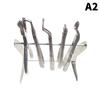 Dental Stainless Steel Pliers Forceps Stand Organize Holder Scissors Tooth Extraction Tongs Place Organize Storage Dentist Tool