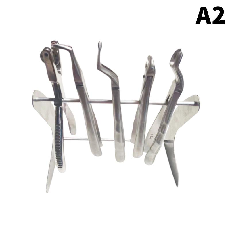 Dental Stainless Steel Pliers Forceps Stand Organize Holder Scissors Tooth Extraction Tongs Place Organize Storage Dentist Tool