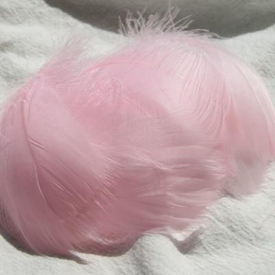 100 Stück 5-8 cm kleine flauschige Gänsefedern, farbig gefärbte Schwanenfedern für DIY Karnevalsparty-Dekoration, Bastelzubehör