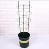 High Quality Vine Climbing Rack Conical Plant Trellis Plant Support Frame Flower Decorative Gardening Tools