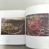 [USED] ANSELM KIEFER Anselm Kiefer Art Collection