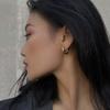 Earrings, Female Style, Personality, Niche Temperament, Metal Circles, Ear Buckles, Two-color Splicing Earrings.