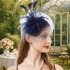 Luxury Small Top Hat Headband Elegant Wedding Head Hoop Feathers Mesh Headband  Stage Performance