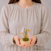 PD COLLECTION Preserved Flowers - Daisy (Japanese-made) with LED Light - Flower Gift, Present, Gift for Celebrations, Birthdays, Anniversaries,