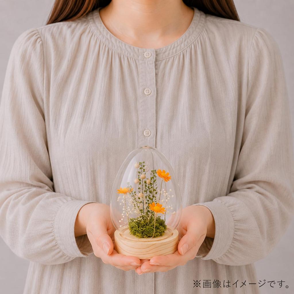 PD COLLECTION Preserved Flowers - Daisy (Japanese-made) with LED Light - Flower Gift, Present, Gift for Celebrations, Birthdays, Anniversaries,