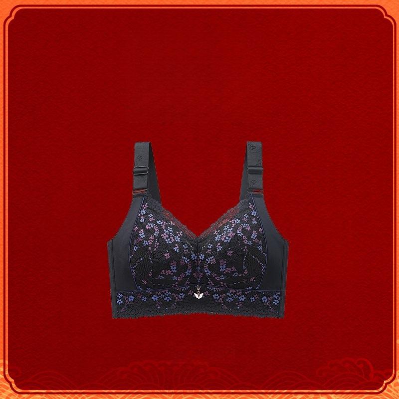 Sexy Lace Bra for Women Adjustable Bra Without Underwire Plus-size Gathering Bra