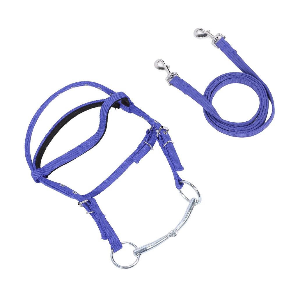 Horse Bridle Rein Nylon Stylish Adjustable Horse Bridle Headstall Equestrian Rein Blue L( For Horses with Shoulder