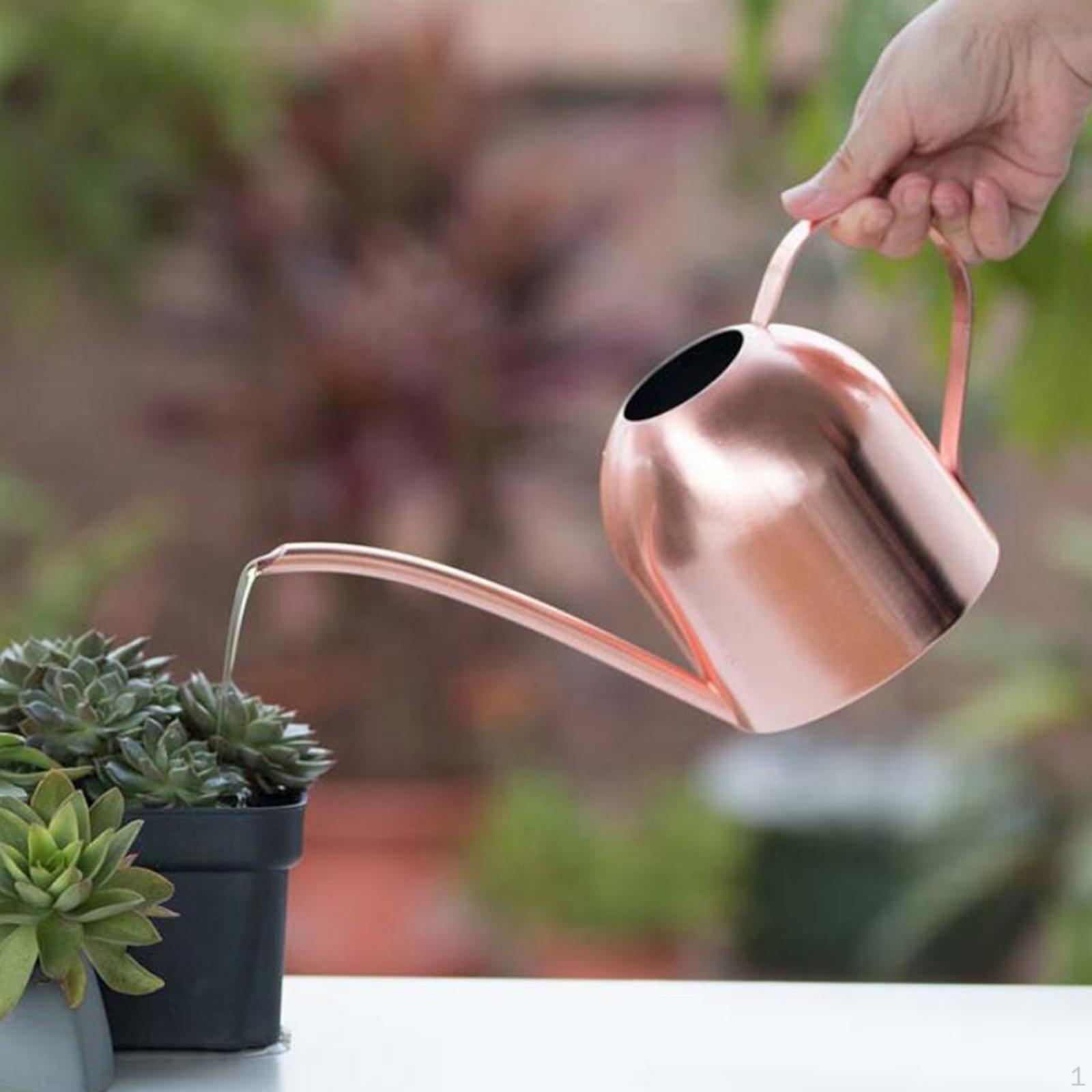 1000 мл лейка из нержавеющей стали комнатные растения длинный рот цветок бонсай — фото 9