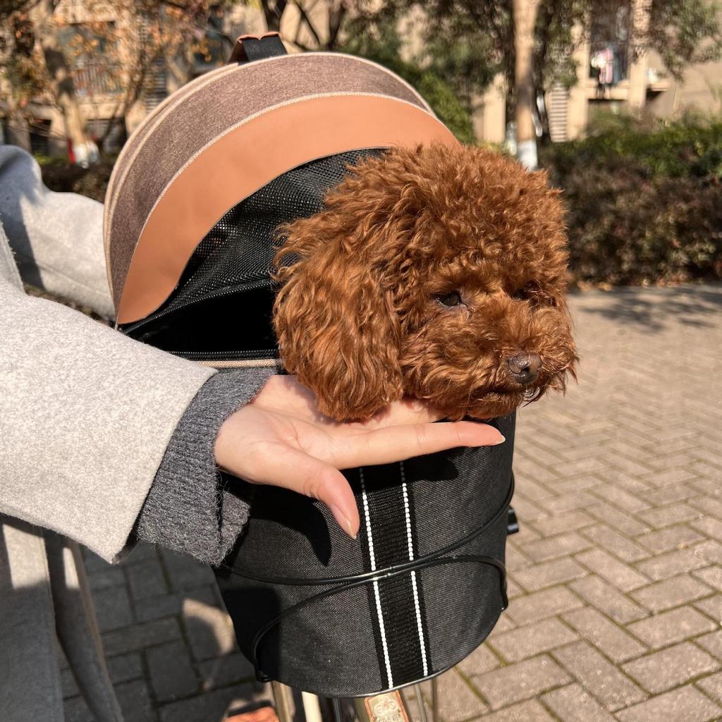 Large Capacity Foldable Blue Canvas Pet Carrier for Bicycle and Scooter