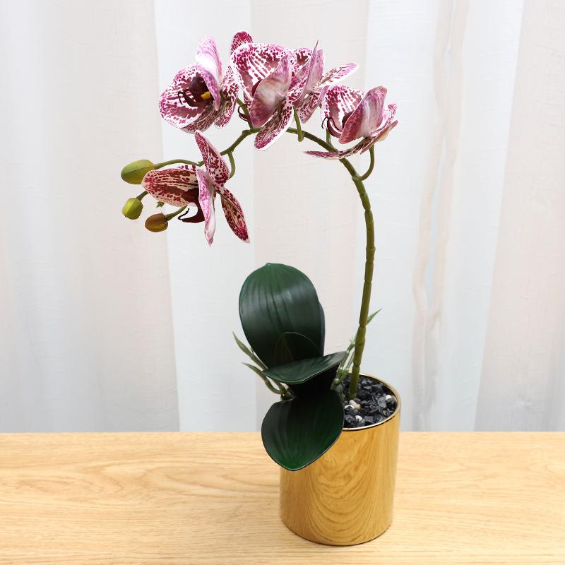 

Имитация растения горшок фаленопсис украшение для дома гостиная искусственный цветок цветочный горшок имитация цветка фабрика оптовая продажа Phalaenopsis long branch коралловый