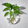 Decorative Wall Planter Hanging Glass Clear Flower Vase for Hydroponics Plants Greenery Home Decor Mount Terrarium Propagation Station Bathroom Office