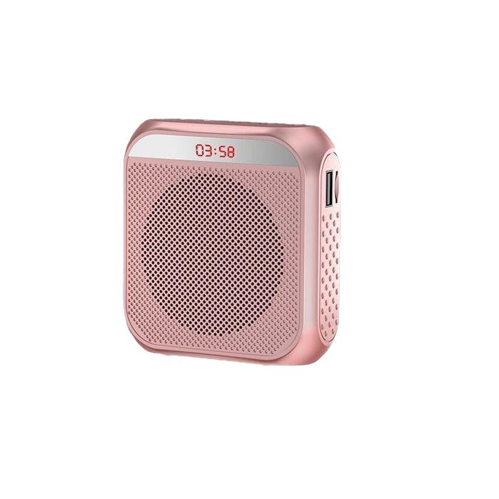 Little Bee Multi-functional Bluetooth Amplifier: Portable, Large Volume for Teachers & Tour Guides