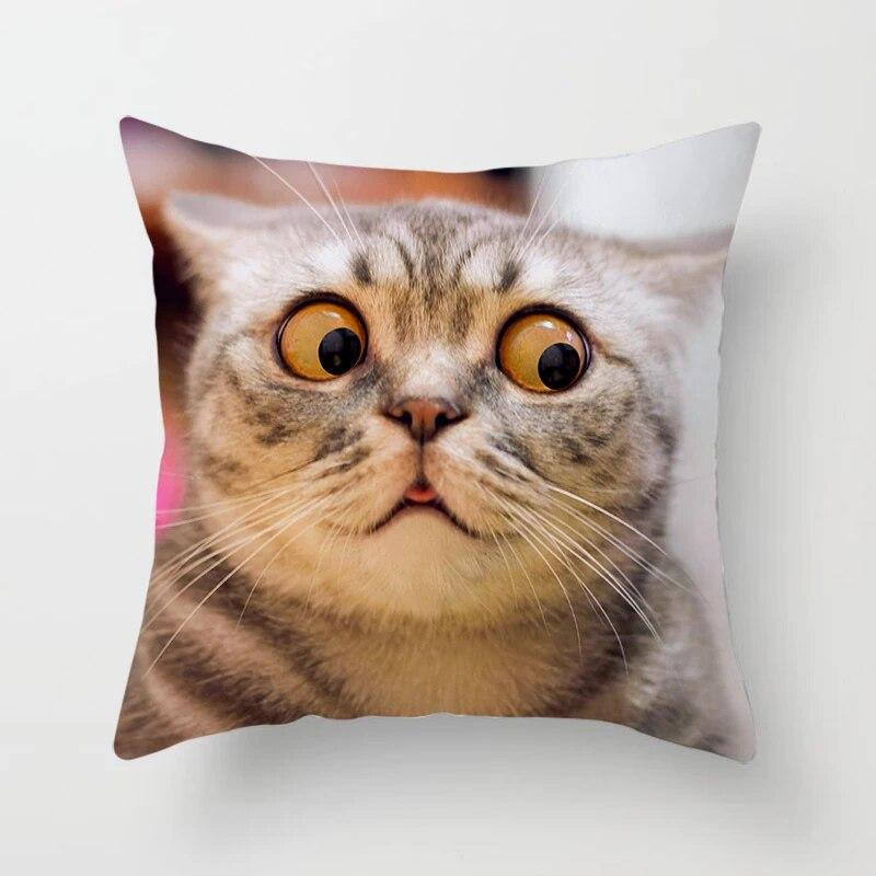 Home Decor Witchcraft Cat Stealing  Cushion Cover Cute  Sofa Car Decoration 45x45cm Pillowcase Square Polyester